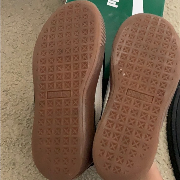 Puma platform - Picture 4 of 4